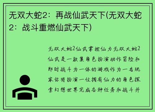 无双大蛇2：再战仙武天下(无双大蛇2：战斗重燃仙武天下)