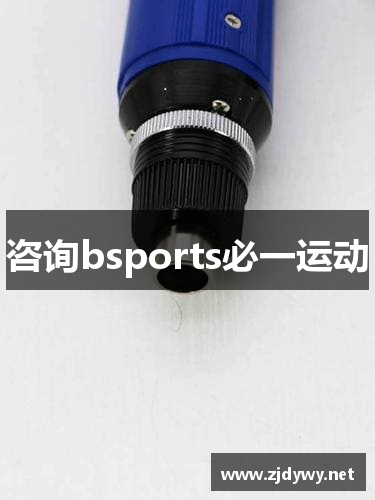 咨询bsports必一运动